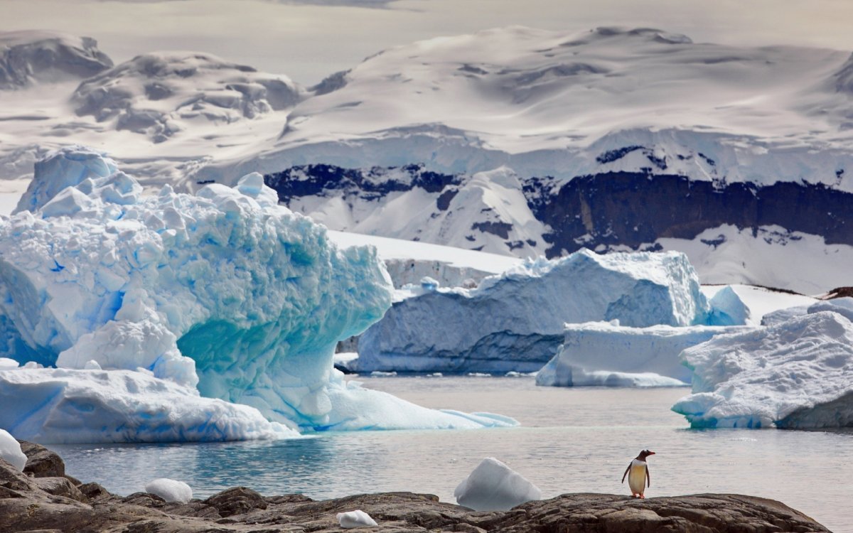 Осадки в Антарктиде выпадают в виде снега