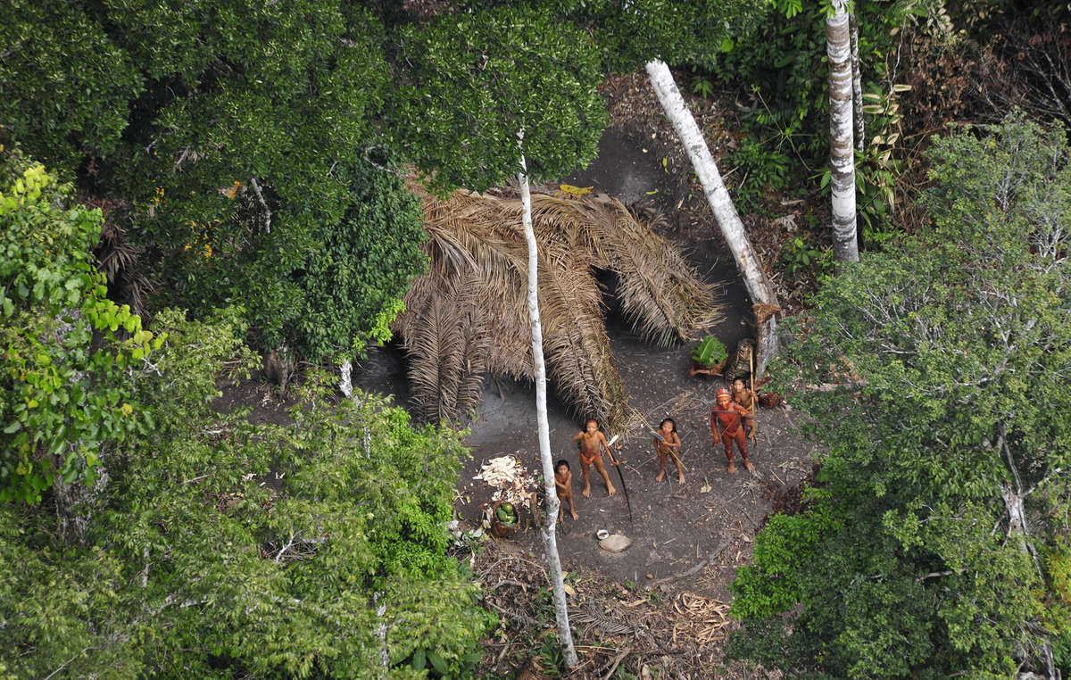 Резервация племени Джавари, Бразилия