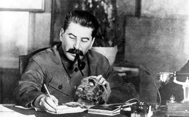  Собаки, белки и медведи Иосифа Сталина