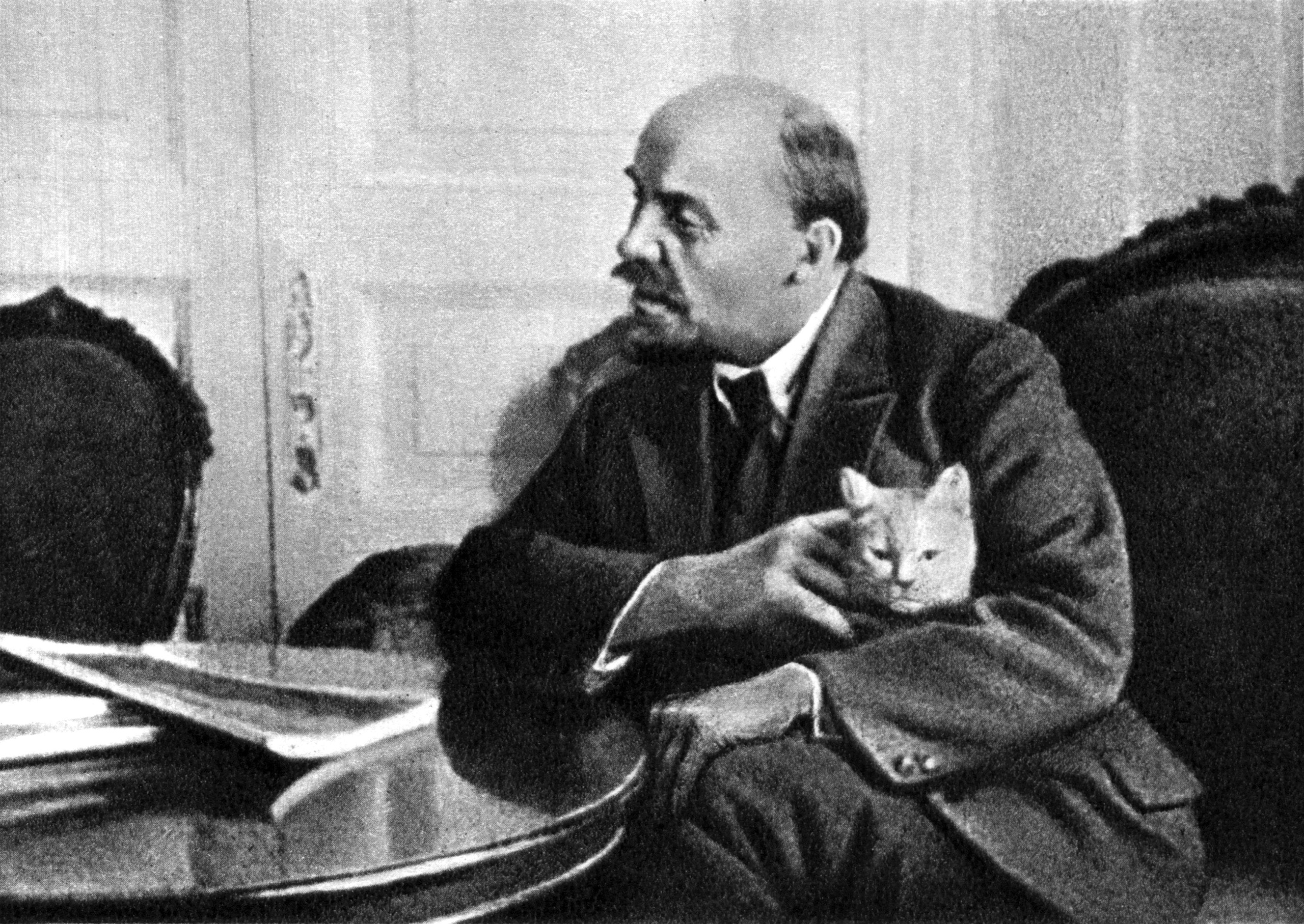 Кошки и собаки Ленина