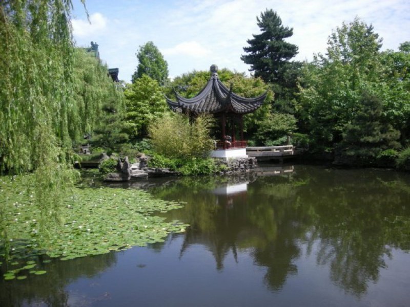 Китайский сад в Петергофе