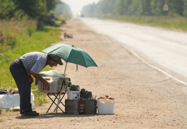 Чем торговля у дороги чревата для продавца и для покупателя? | Вопрос-ответ | АиФ Аргументы и факты в Беларуси