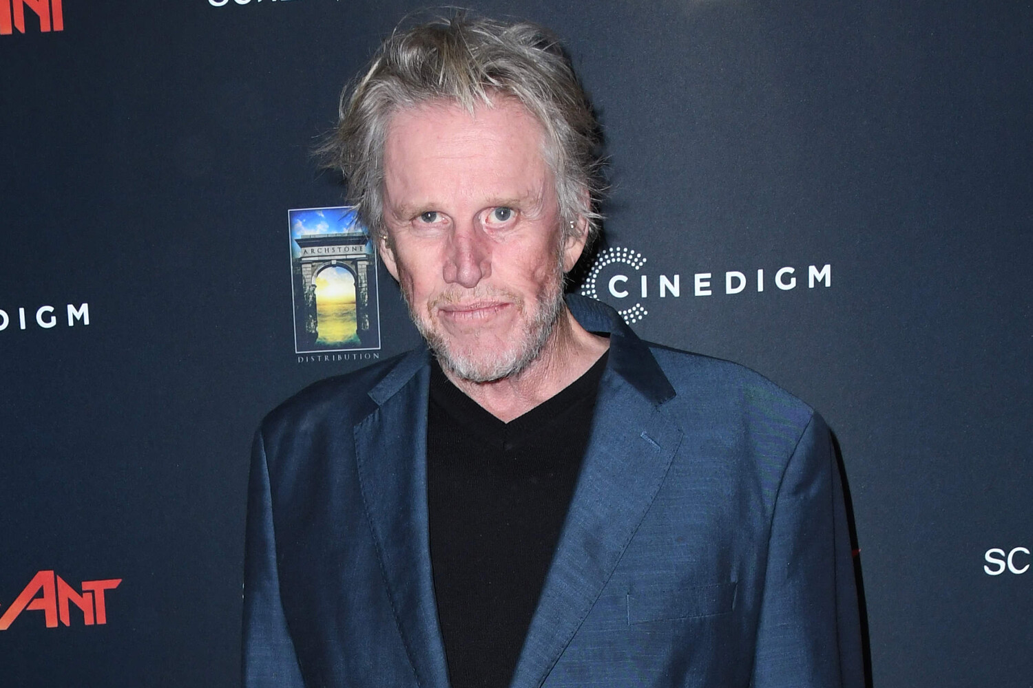 Актера Гэри Бьюзи обвинили в абьюзе - Газета.Ru | Новости