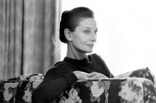 Гуманитарная деятельность