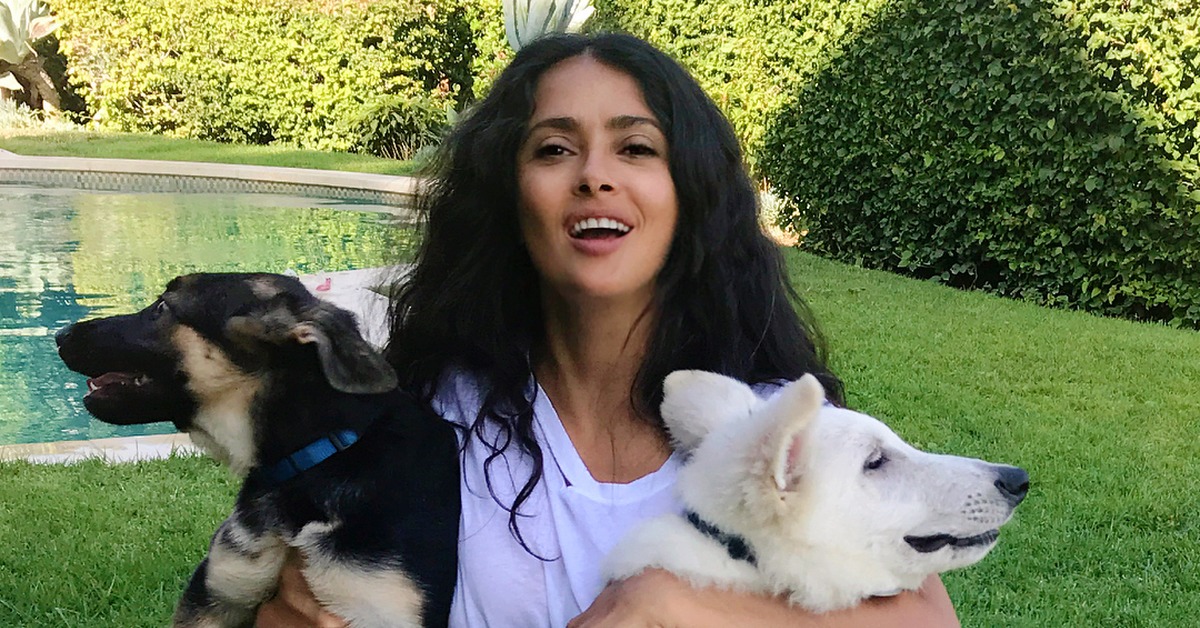 Сальма Хайек Пино